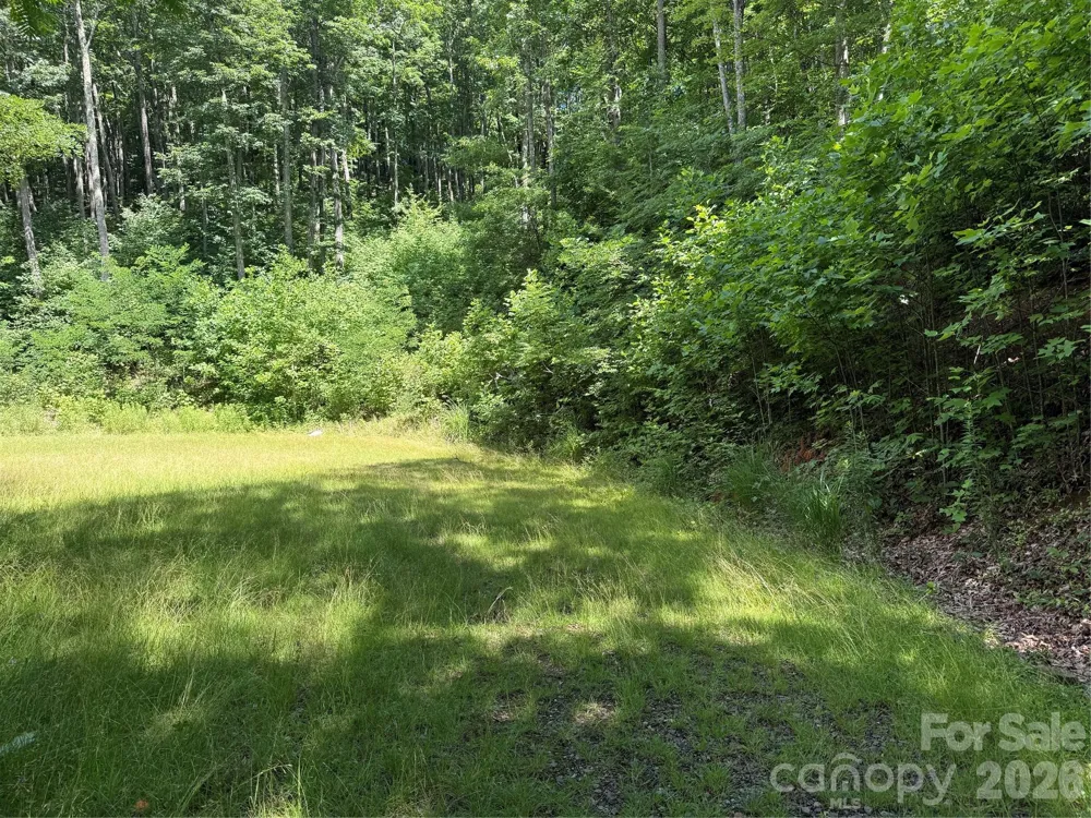 999 Hawks Nest Drive #86 Burnsville, NC 28714