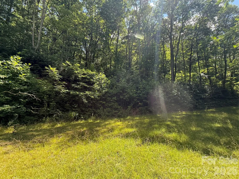999 Hawks Nest Drive #86 Burnsville, NC 28714