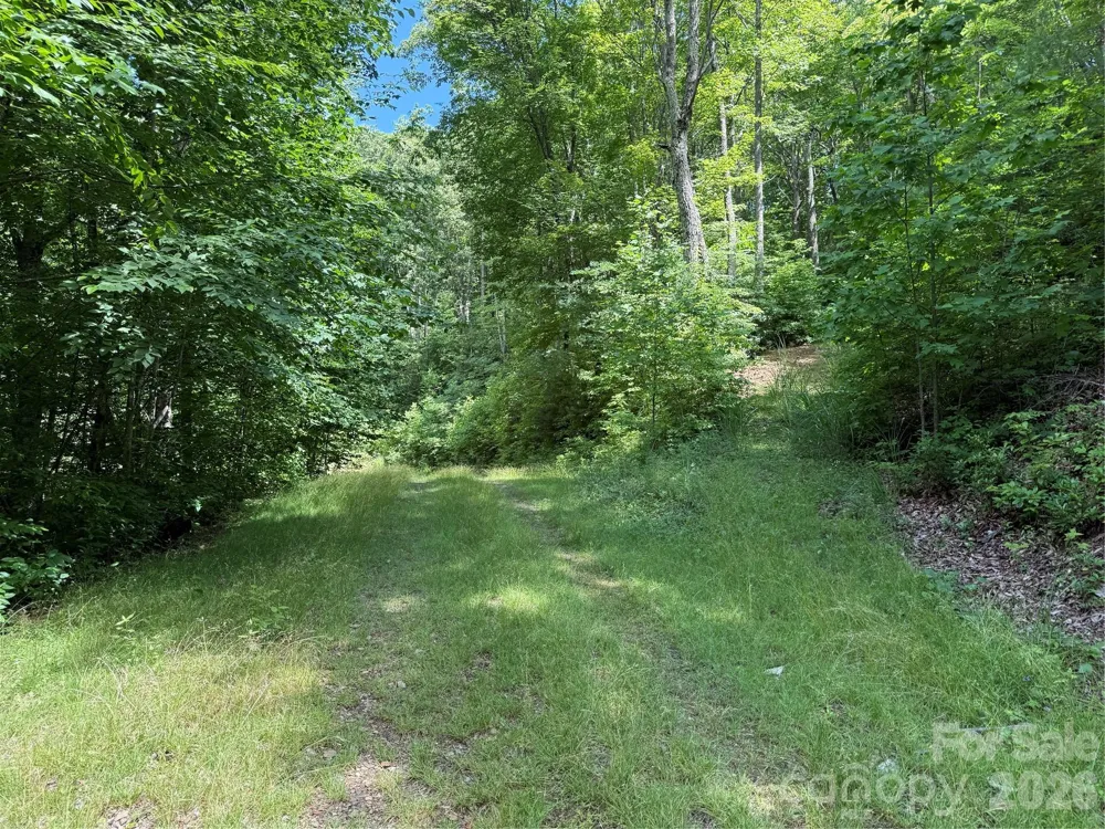 999 Hawks Nest Drive #86 Burnsville, NC 28714
