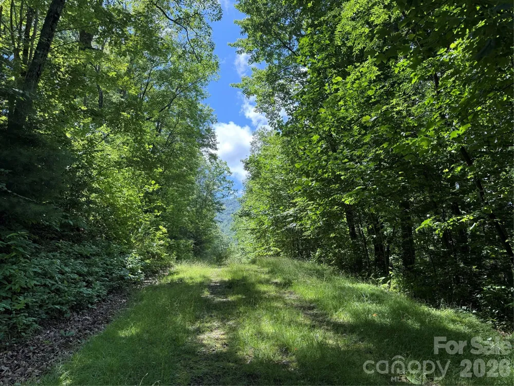 999 Hawks Nest Drive #86 Burnsville, NC 28714