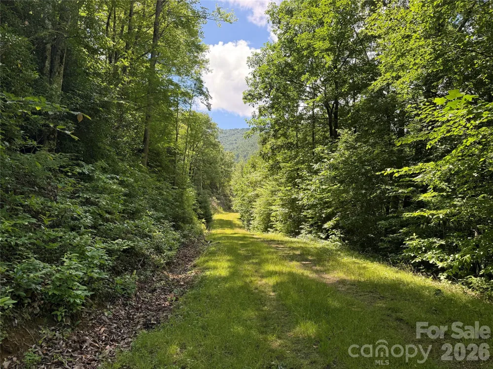 999 Hawks Nest Drive #86 Burnsville, NC 28714