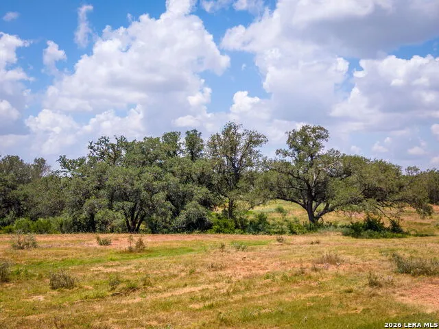 4567 Luther Seguin, TX 78155