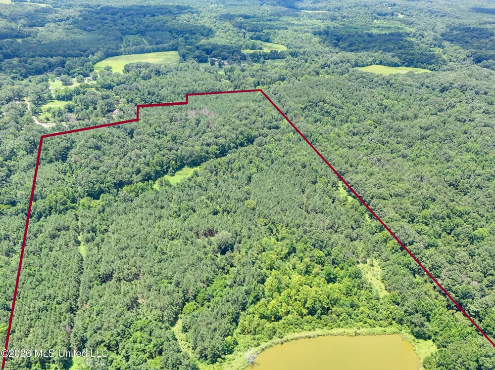 4757 Highway 27 Edwards, MS 39066