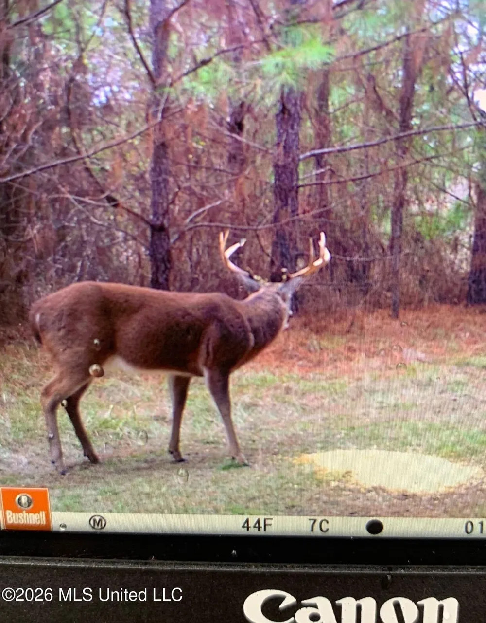 4757 Highway 27 Edwards, MS 39066