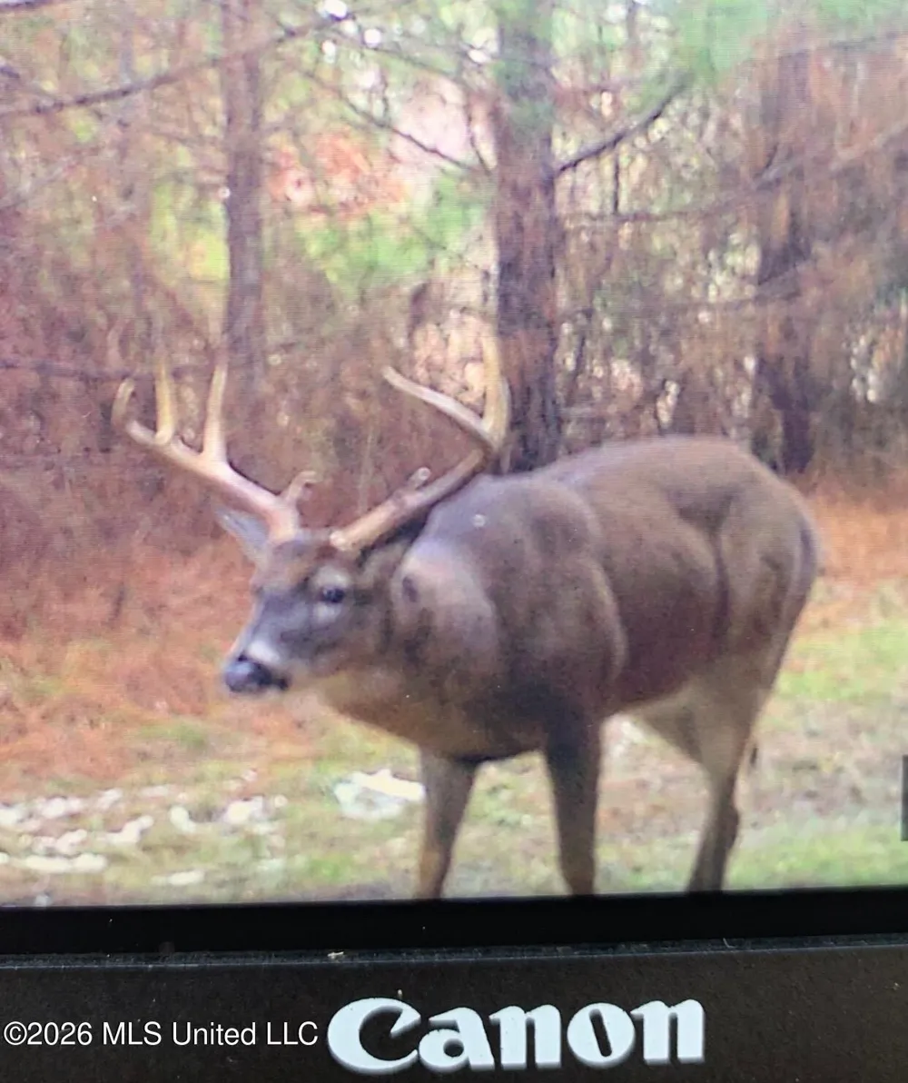 4757 Highway 27 Edwards, MS 39066