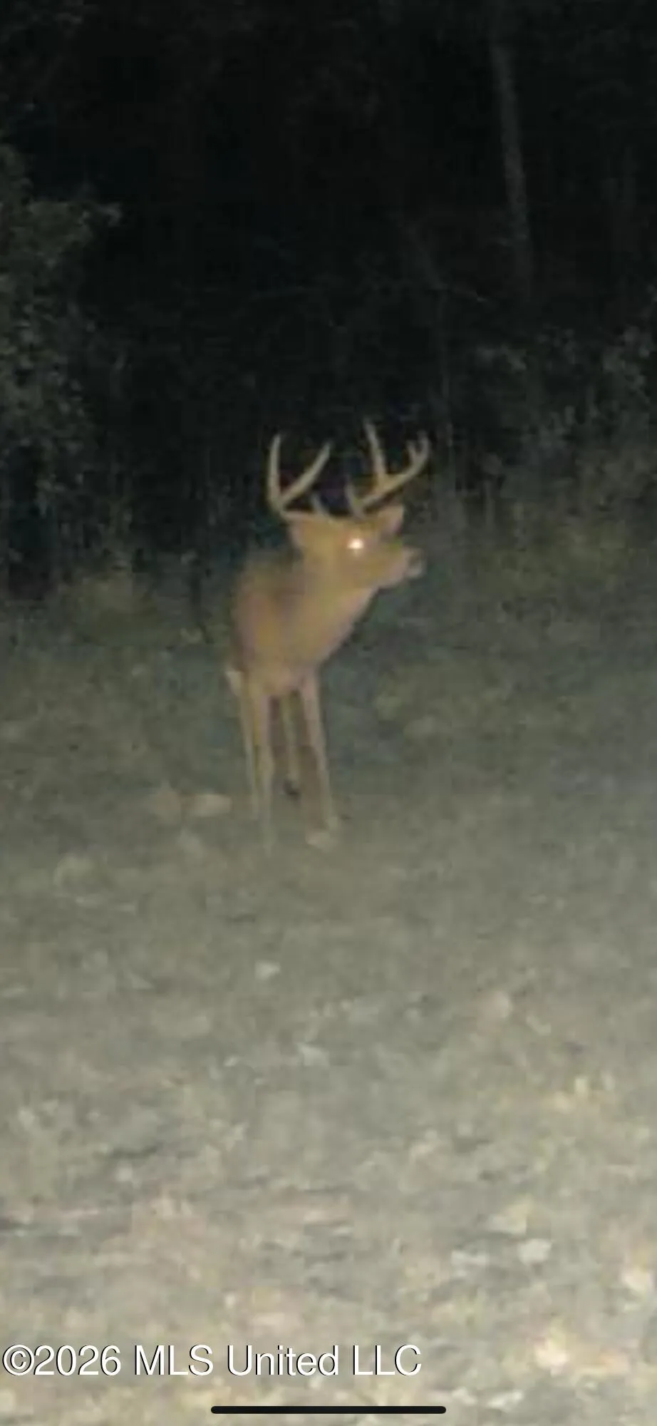 4757 Highway 27 Edwards, MS 39066