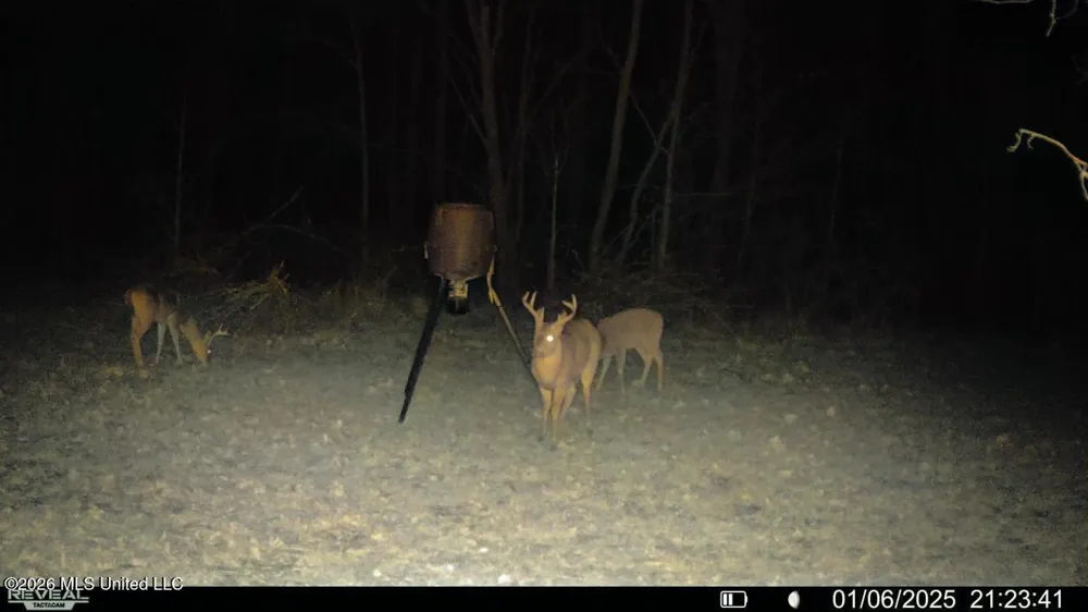 4757 Highway 27 Edwards, MS 39066