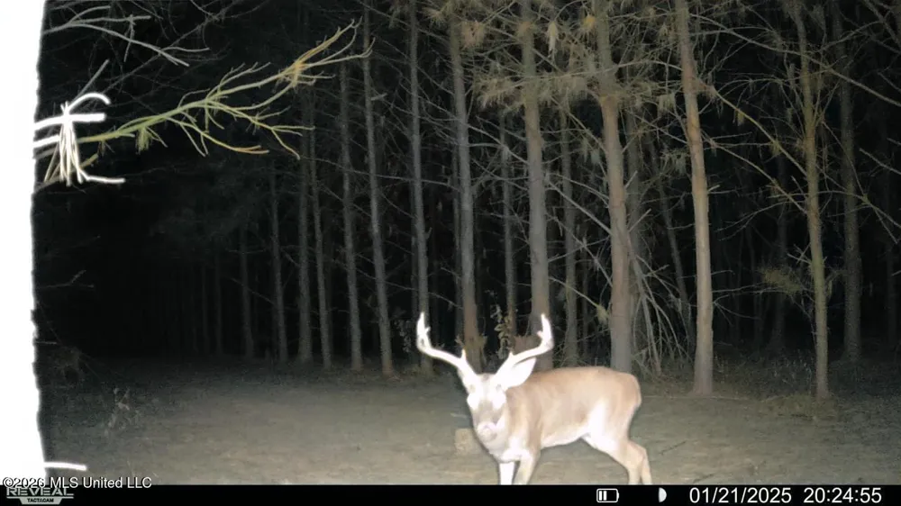 4757 Highway 27 Edwards, MS 39066