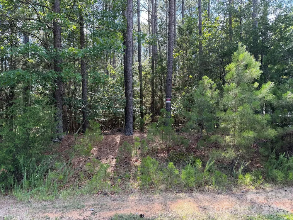 9212 Rustic Creek Trail Waxhaw, NC 28173