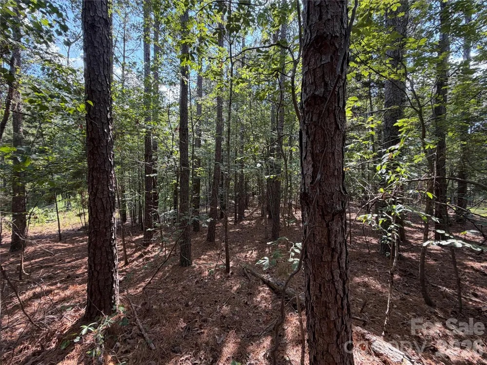 9212 Rustic Creek Trail Waxhaw, NC 28173