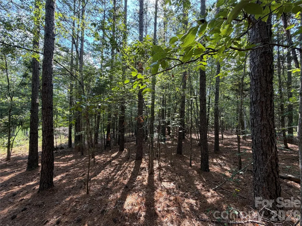 9212 Rustic Creek Trail Waxhaw, NC 28173
