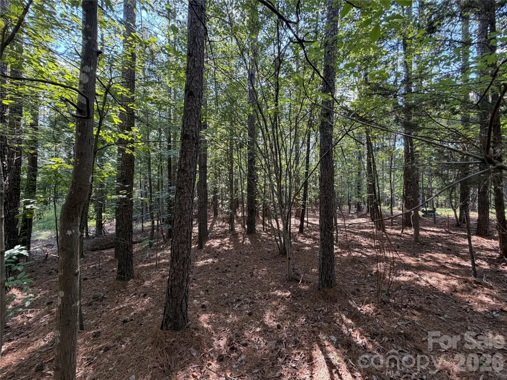 9212 Rustic Creek Trail Waxhaw, NC 28173