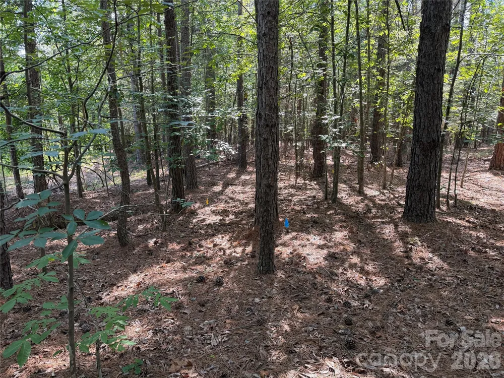 9212 Rustic Creek Trail Waxhaw, NC 28173