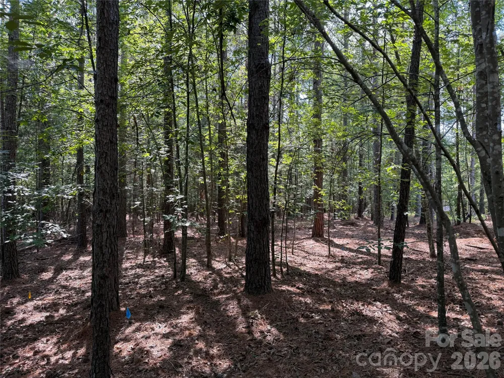 9212 Rustic Creek Trail Waxhaw, NC 28173