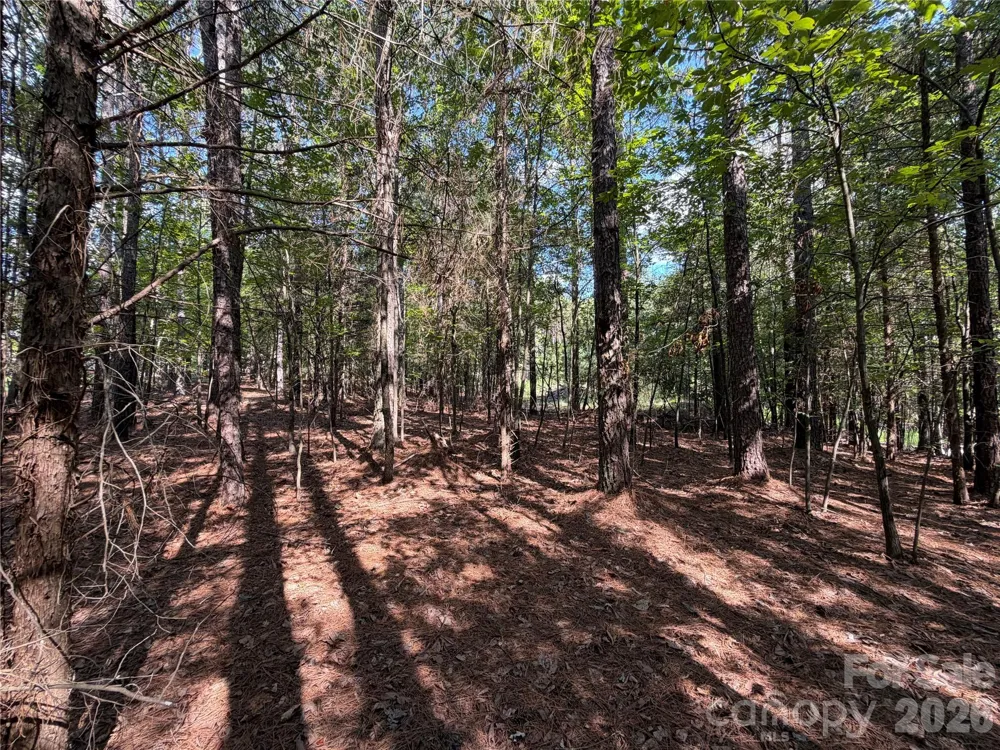 9212 Rustic Creek Trail Waxhaw, NC 28173