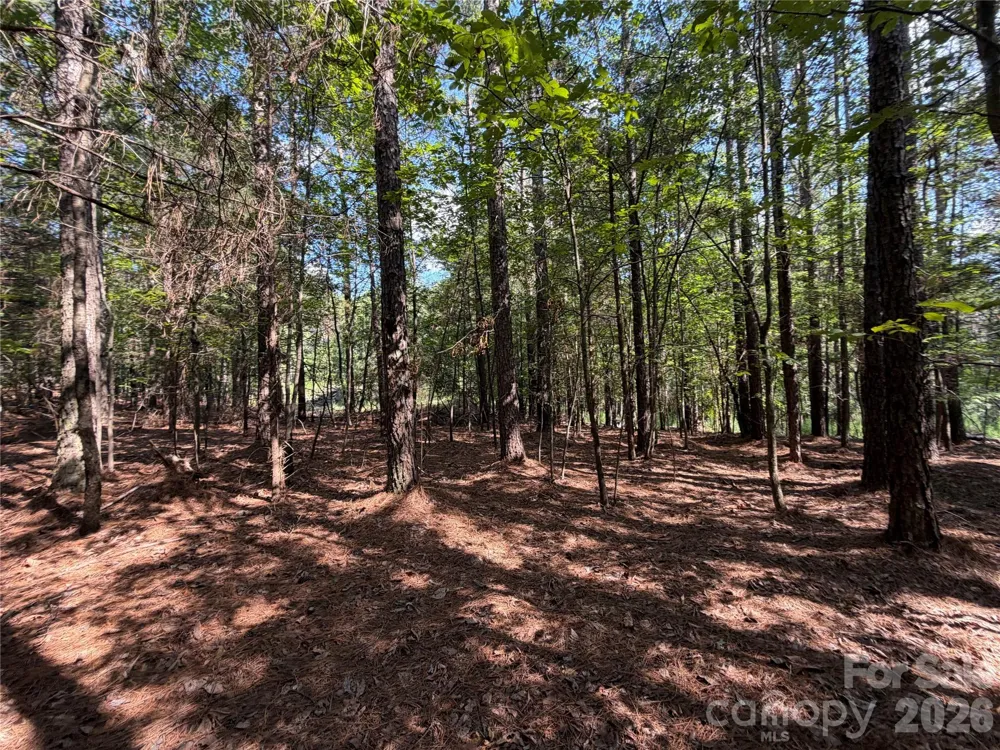 9212 Rustic Creek Trail Waxhaw, NC 28173