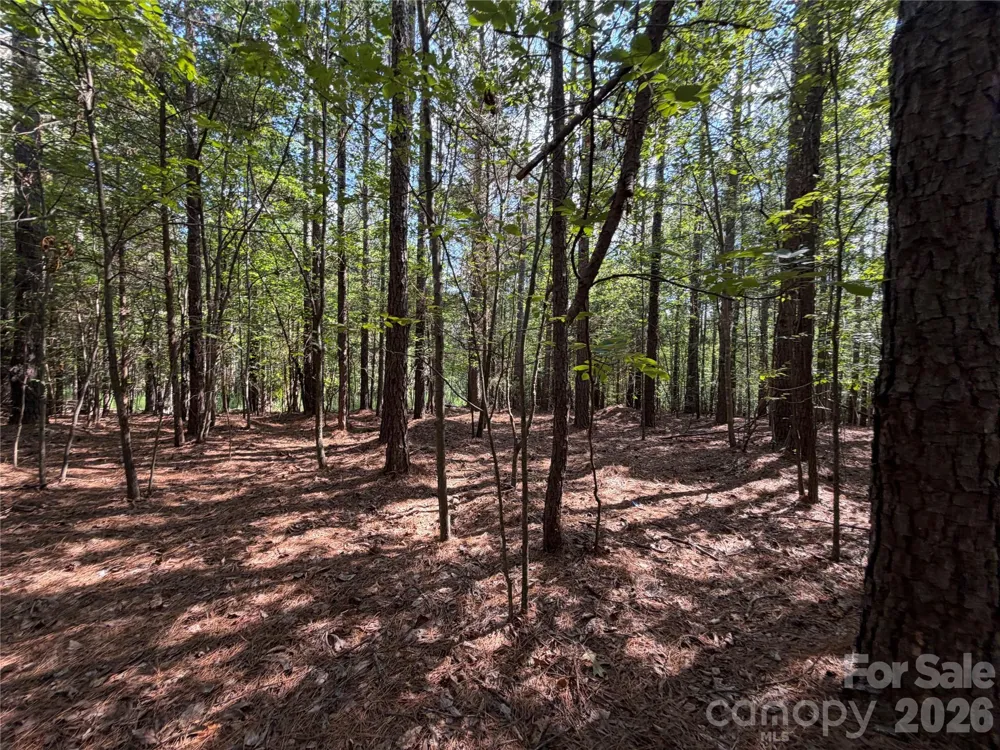 9212 Rustic Creek Trail Waxhaw, NC 28173
