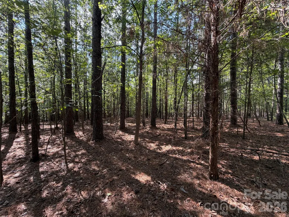 9212 Rustic Creek Trail Waxhaw, NC 28173