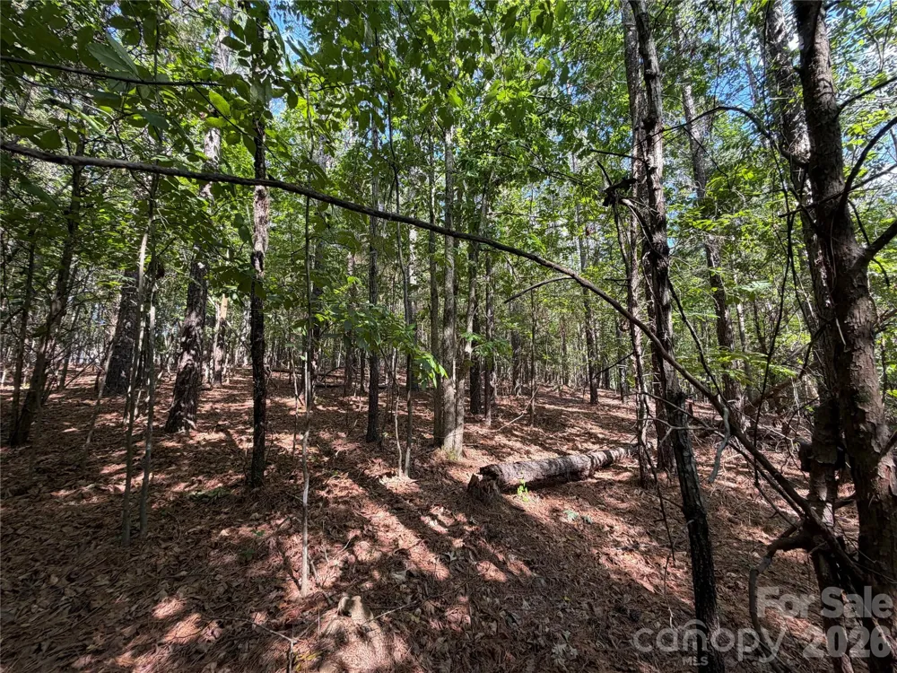 9212 Rustic Creek Trail Waxhaw, NC 28173