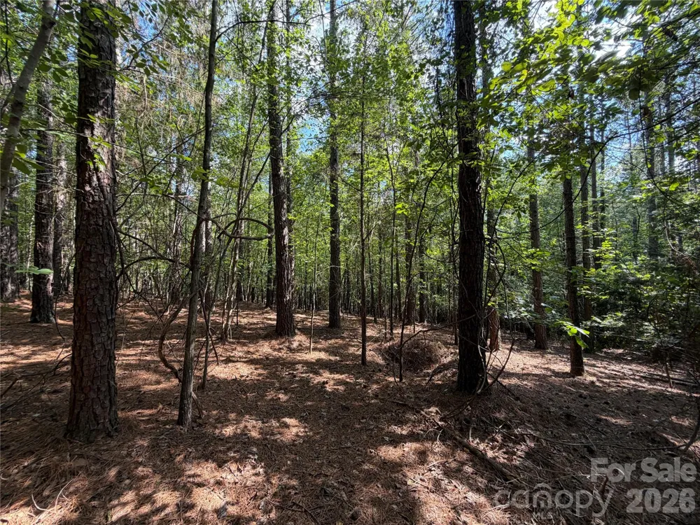 9212 Rustic Creek Trail Waxhaw, NC 28173