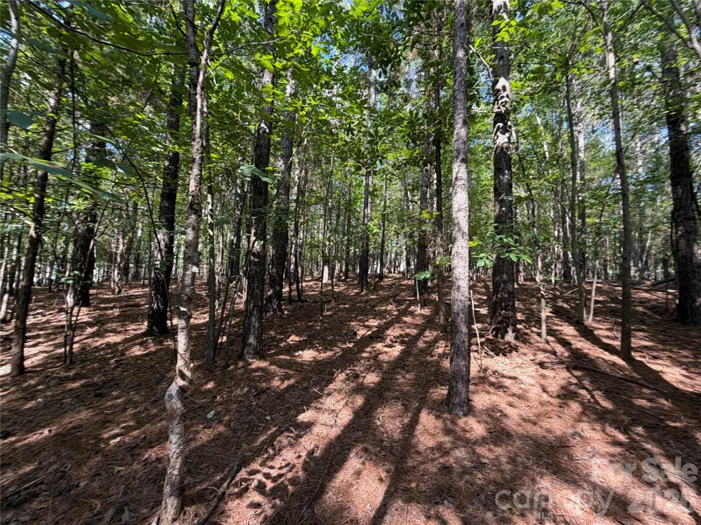 9212 Rustic Creek Trail Waxhaw, NC 28173