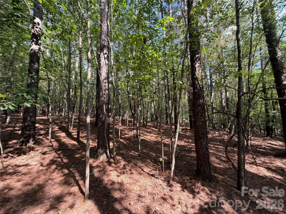 9212 Rustic Creek Trail Waxhaw, NC 28173