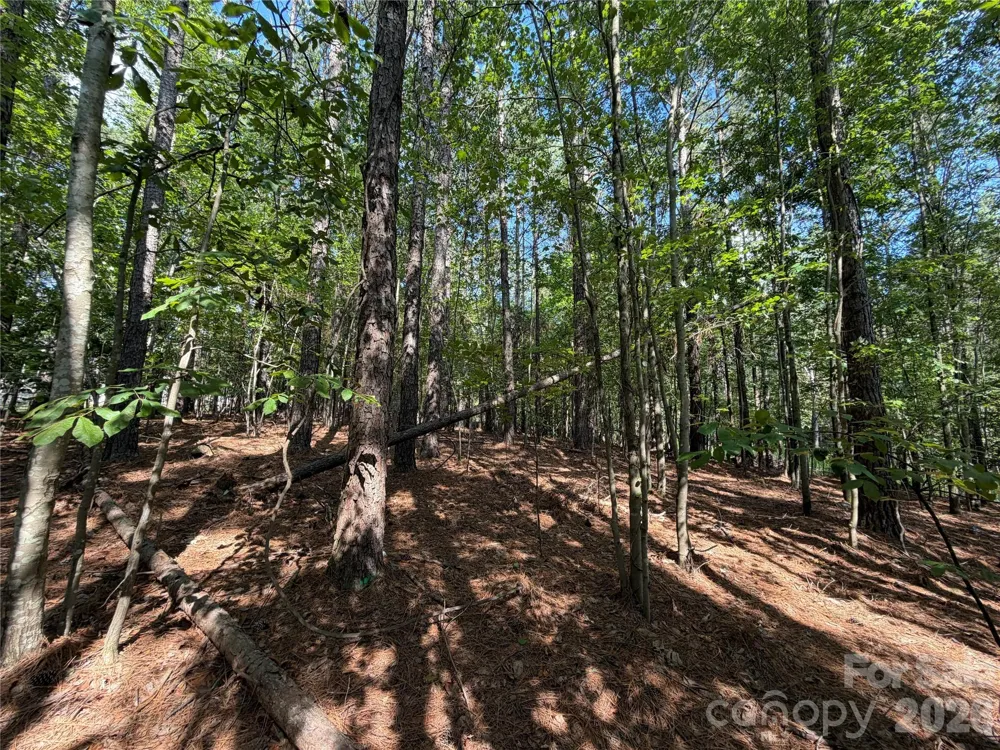 9212 Rustic Creek Trail Waxhaw, NC 28173