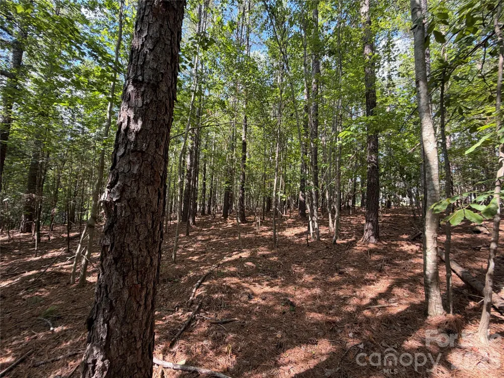 9212 Rustic Creek Trail Waxhaw, NC 28173