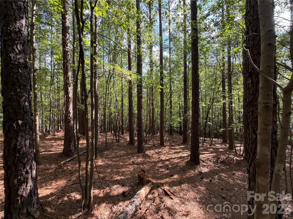 9212 Rustic Creek Trail Waxhaw, NC 28173