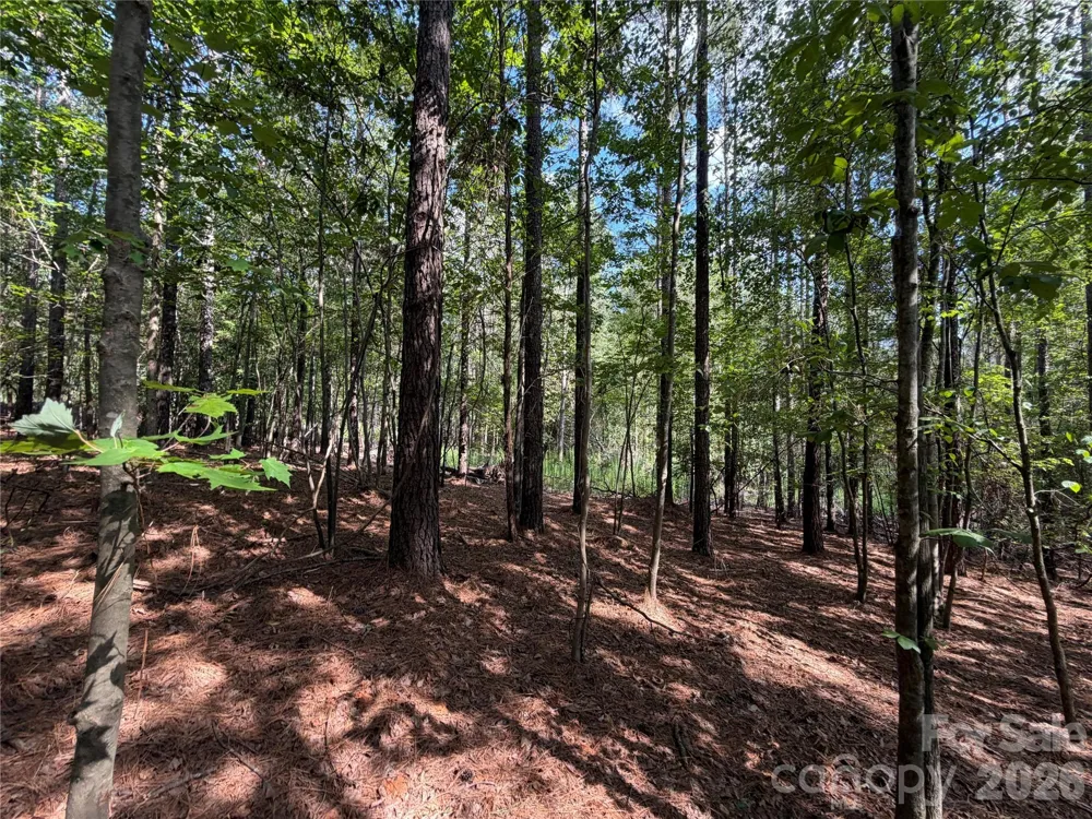 9212 Rustic Creek Trail Waxhaw, NC 28173