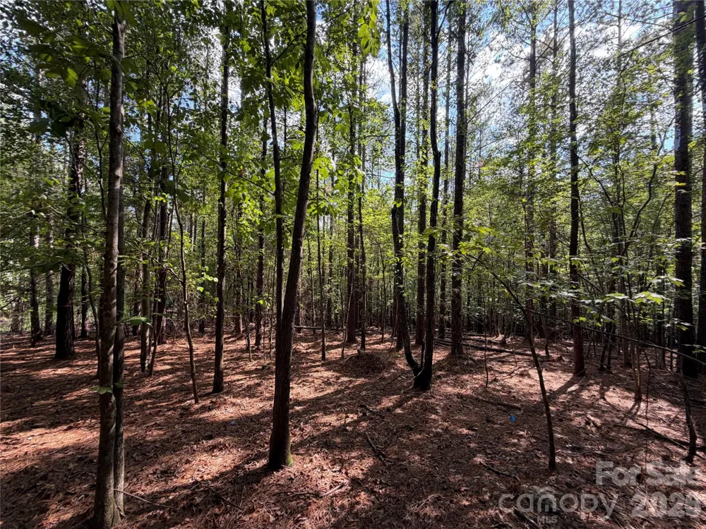 9212 Rustic Creek Trail Waxhaw, NC 28173