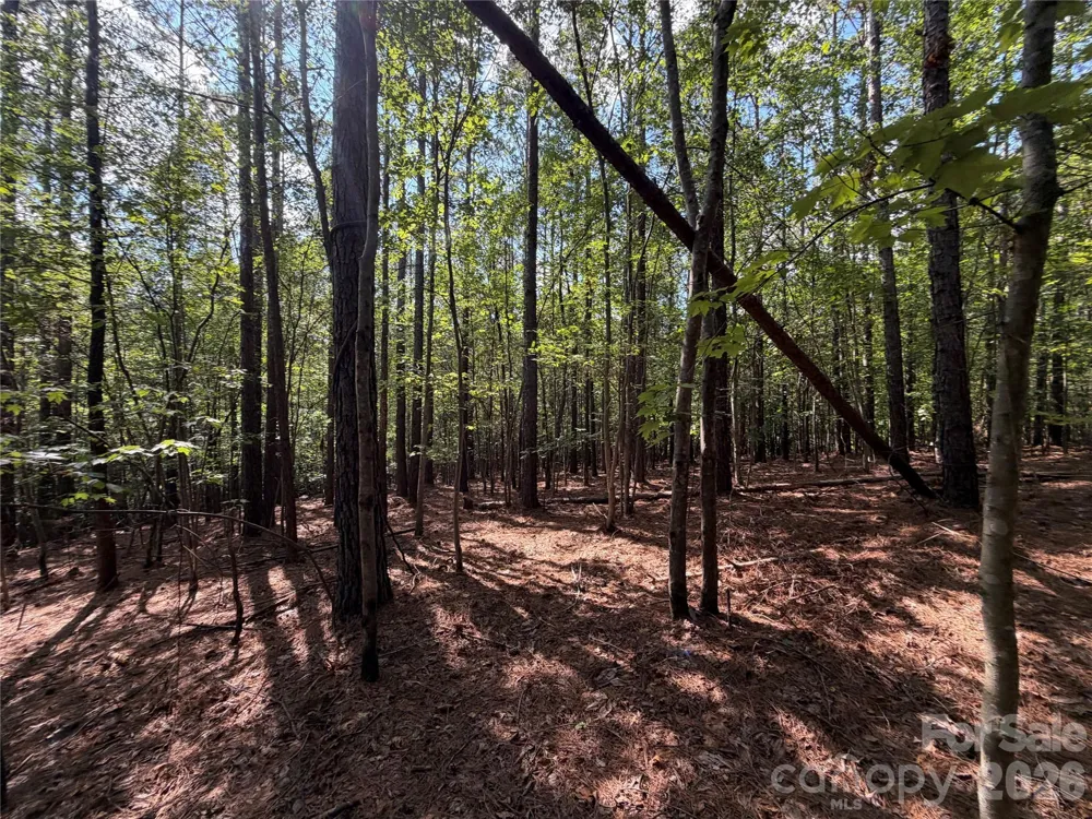 9212 Rustic Creek Trail Waxhaw, NC 28173