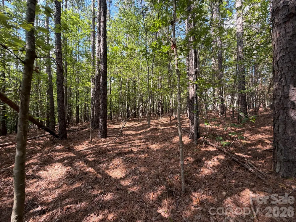 9212 Rustic Creek Trail Waxhaw, NC 28173