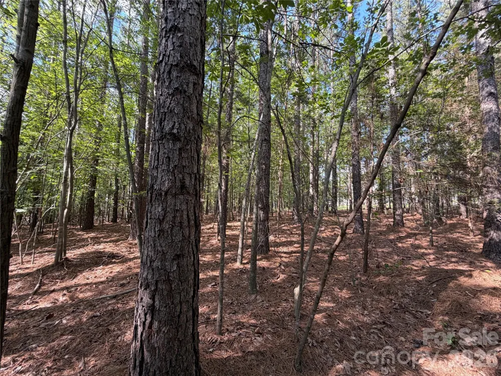 9212 Rustic Creek Trail Waxhaw, NC 28173