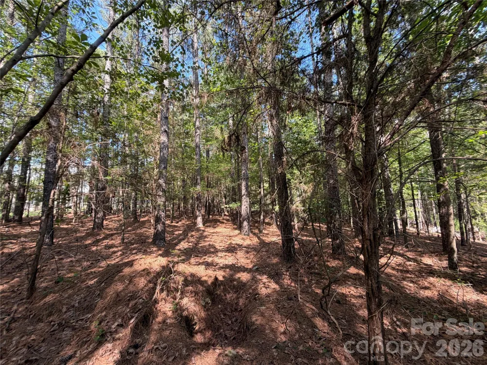 9212 Rustic Creek Trail Waxhaw, NC 28173