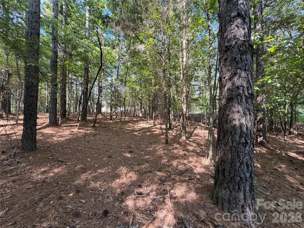 9212 Rustic Creek Trail Waxhaw, NC 28173