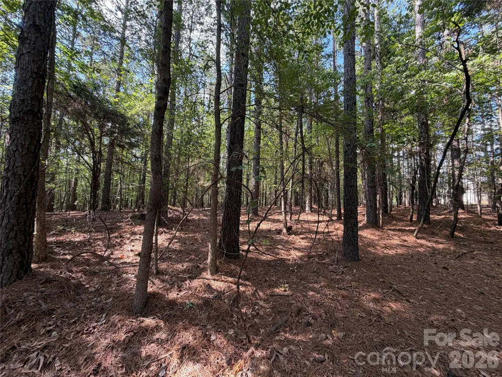 9212 Rustic Creek Trail Waxhaw, NC 28173