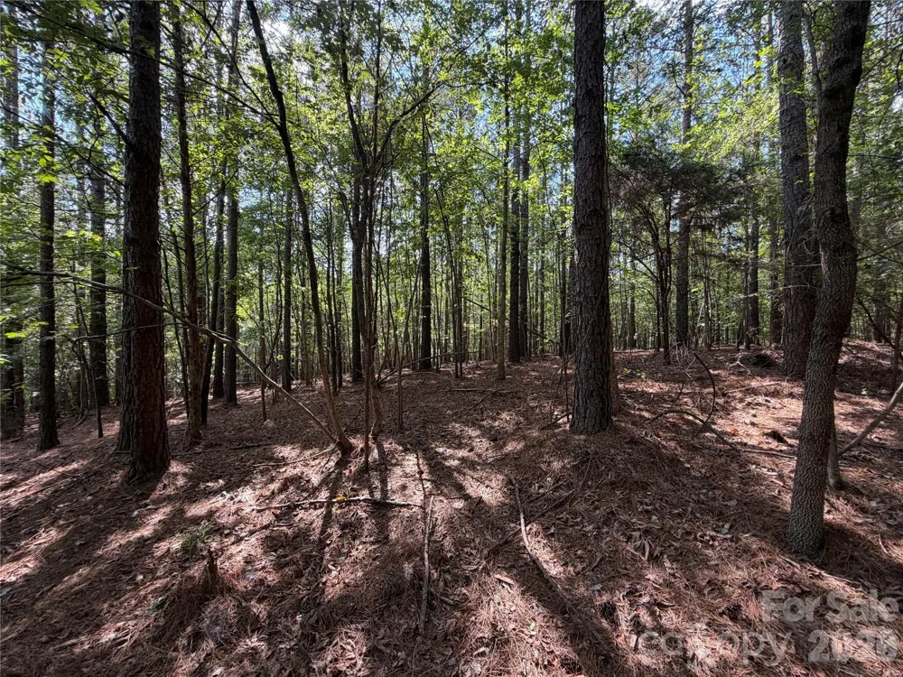 9212 Rustic Creek Trail Waxhaw, NC 28173