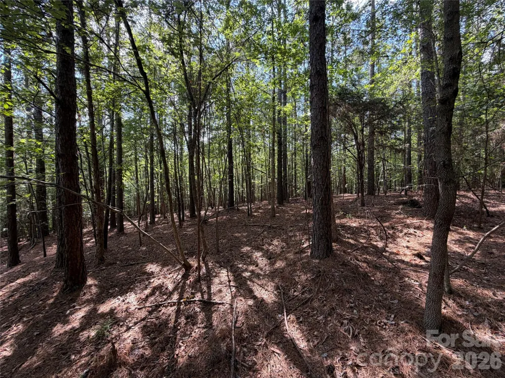 9212 Rustic Creek Trail Waxhaw, NC 28173
