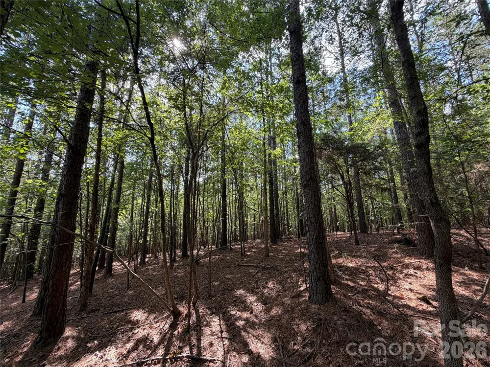 9212 Rustic Creek Trail Waxhaw, NC 28173