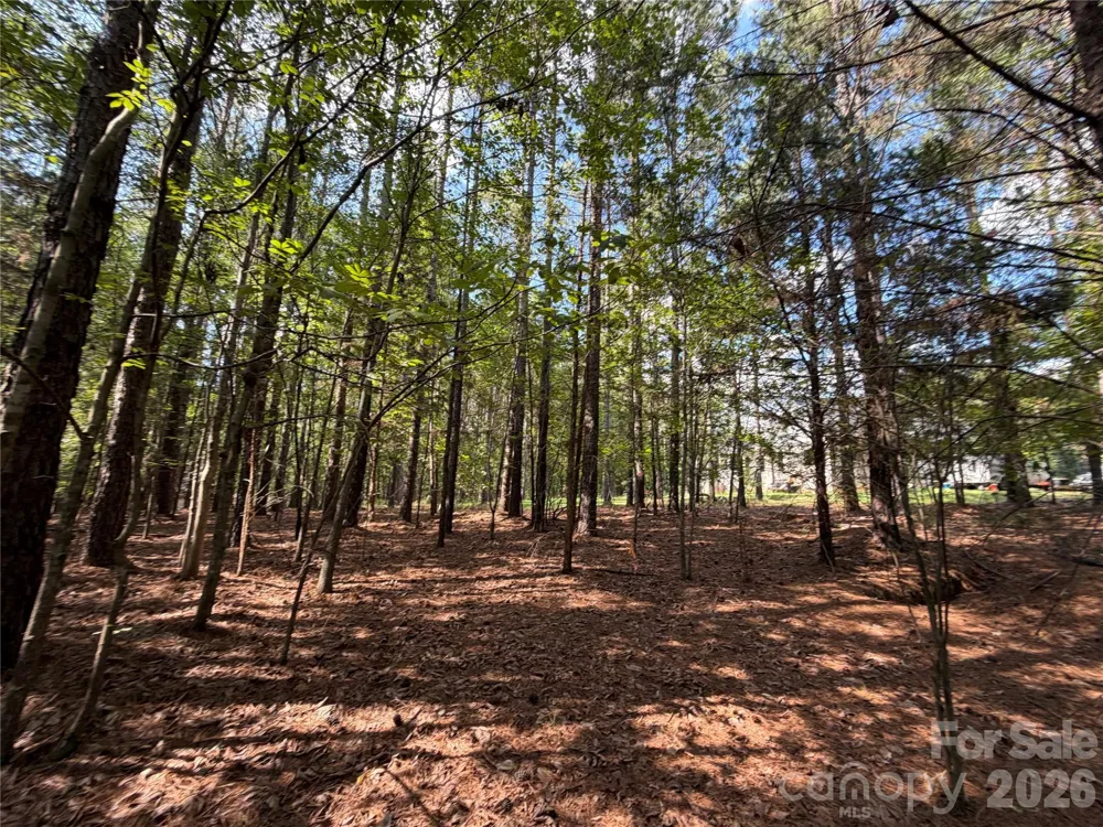 9212 Rustic Creek Trail Waxhaw, NC 28173