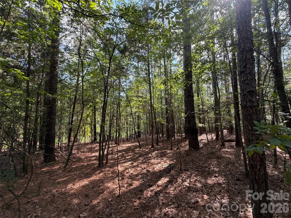 9212 Rustic Creek Trail Waxhaw, NC 28173