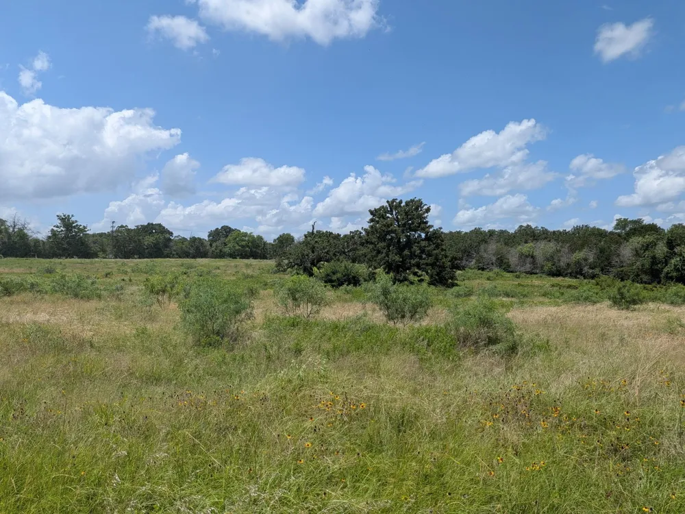 11 County Road 115 Bedias, TX 77831