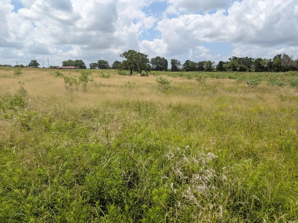 11 County Road 115 Bedias, TX 77831