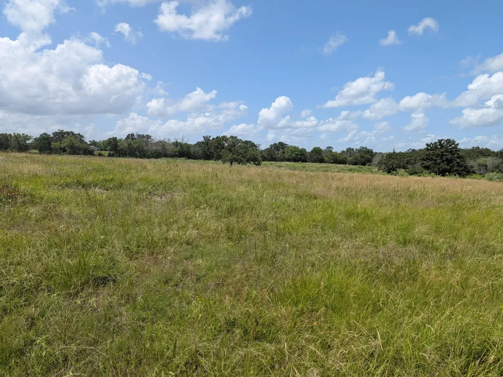 11 County Road 115 Bedias, TX 77831