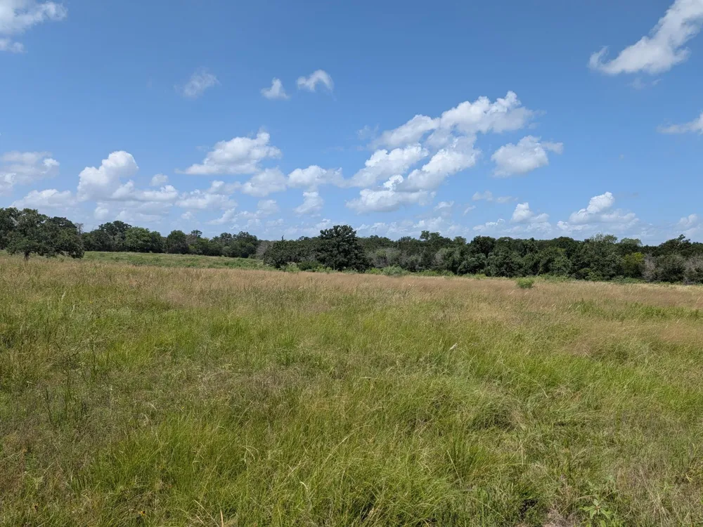 11 County Road 115 Bedias, TX 77831