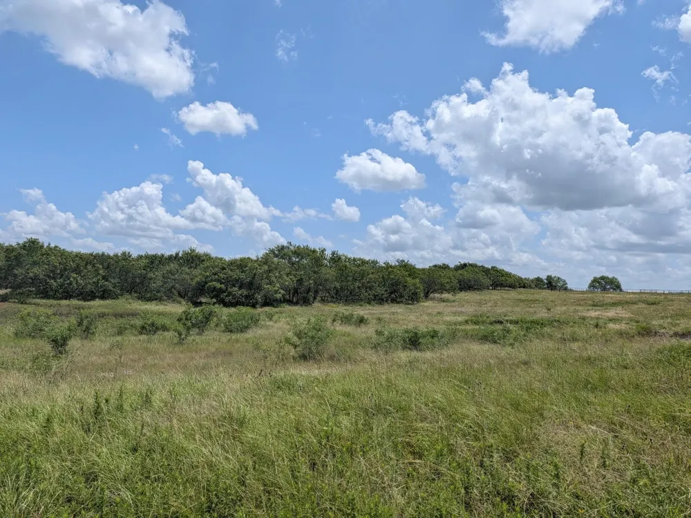 11 County Road 115 Bedias, TX 77831