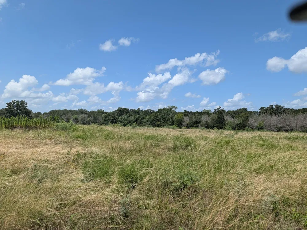 11 County Road 115 Bedias, TX 77831
