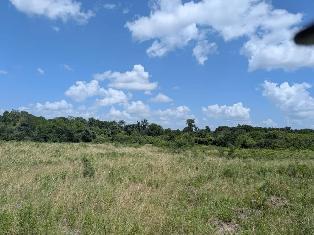 11 County Road 115 Bedias, TX 77831