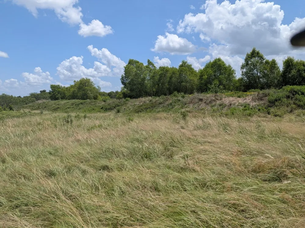 11 County Road 115 Bedias, TX 77831